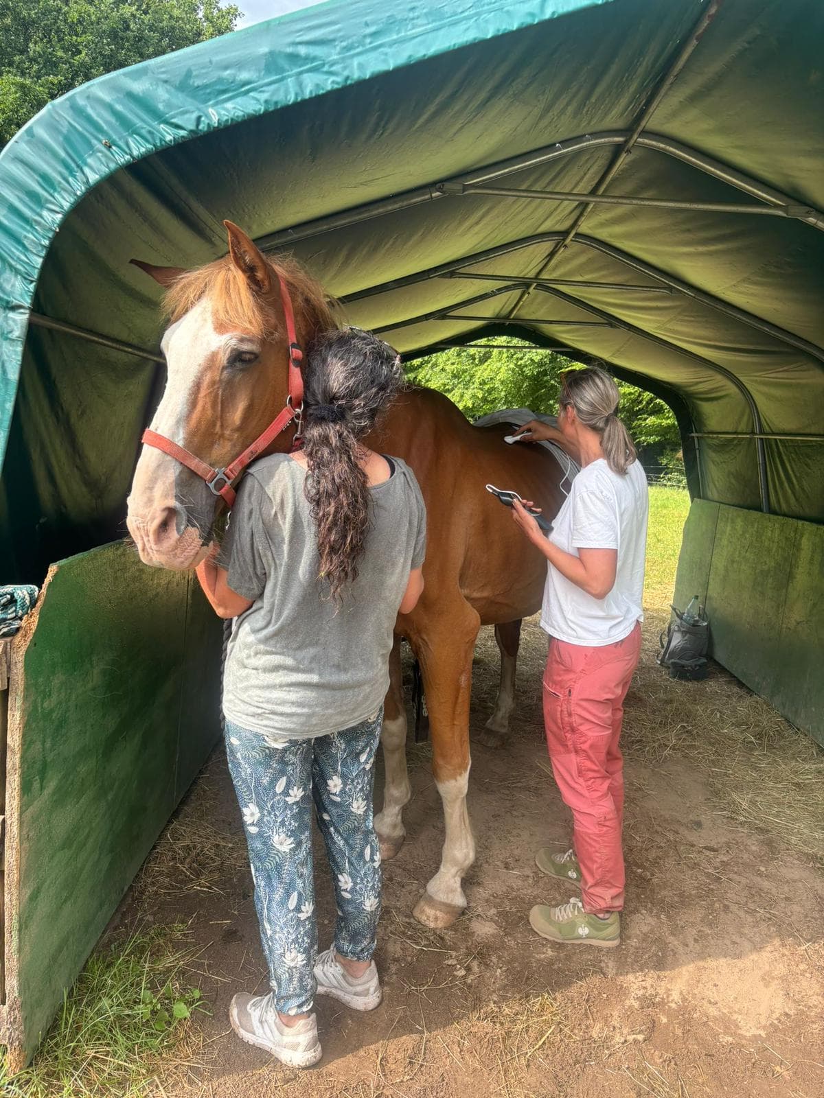 Picasso bei der Physiotherapie