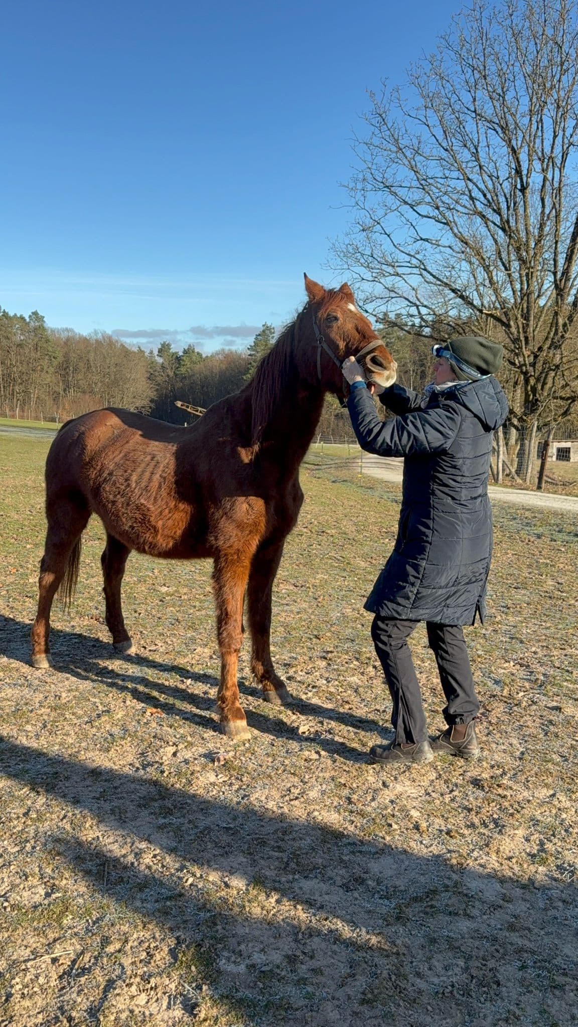 Whitney beim Zahnarzt